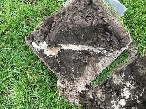 Example of a profile of sand slit through soil