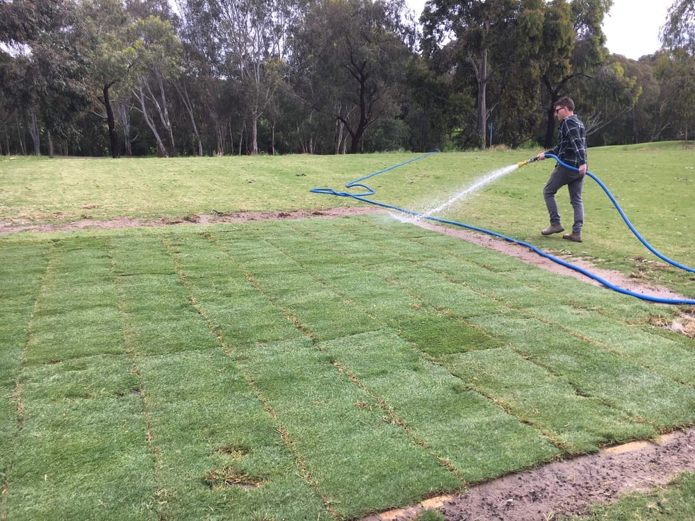 Irrigating the natural turf and growing medium profiles underneath