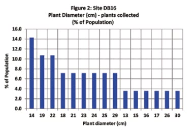 Table about plant diameter for plants collected