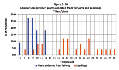 Table giving comparison between plants collected from fairways and seedlings for tillers/plant