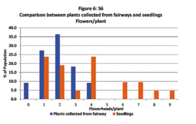 Table giving comparison between plants collected from fairways and seedlings for flowers/plant